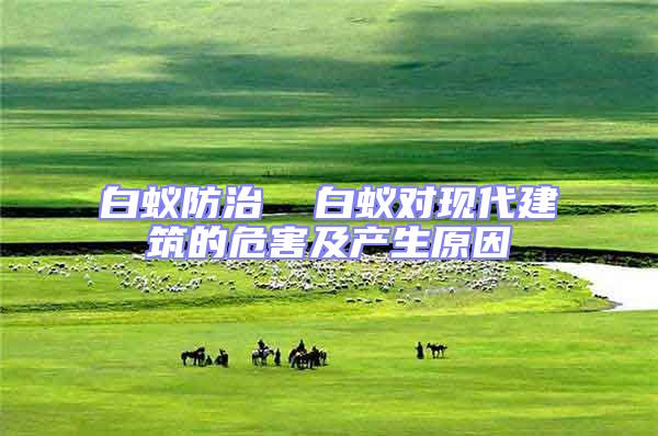 白蟻防治  白蟻對現代建筑的危害及產生原因