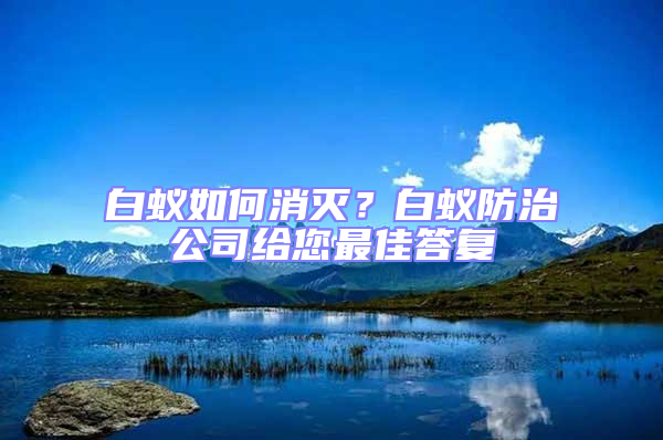 白蟻如何消滅?白蟻防治公司給您最佳答復(fù)