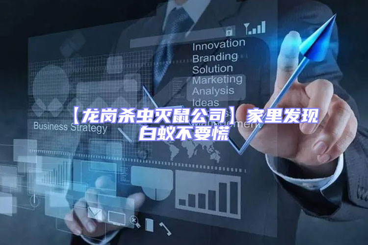 【龍崗殺蟲(chóng)滅鼠公司】家里發(fā)現(xiàn)白蟻不要慌