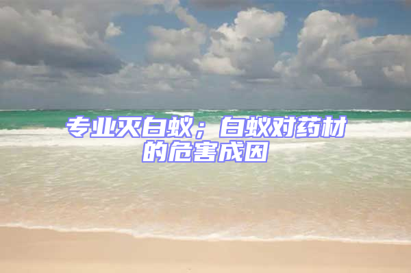 專業滅白蟻;白蟻對藥材的危害成因