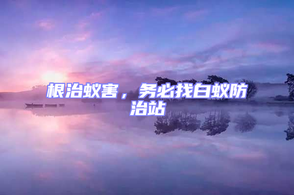 根治蟻害,務(wù)必找白蟻防治站