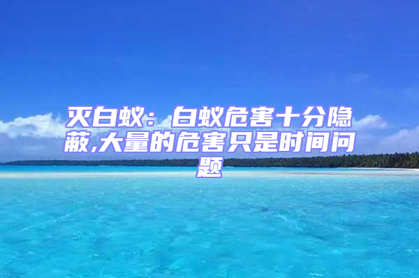 滅白蟻:白蟻危害十分隱蔽,大量的危害只是時間問題
