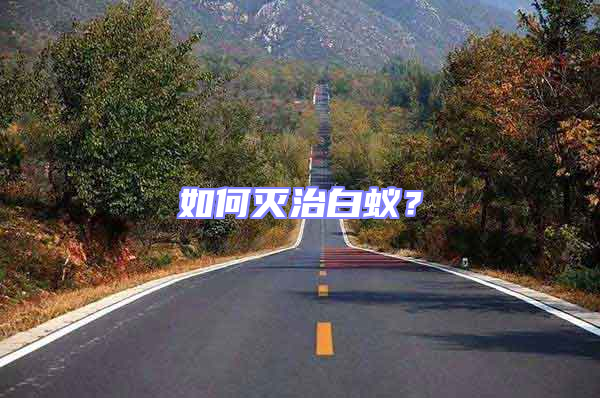 如何滅治白蟻？