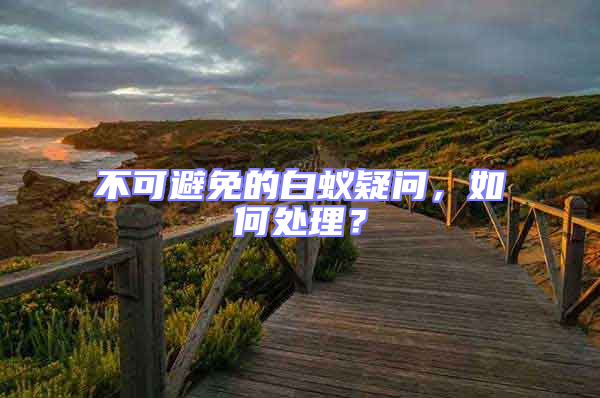 不可避免的白蟻疑問(wèn)，如何處理？