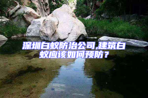 深圳白蟻防治公司,建筑白蟻應(yīng)該如何預(yù)防?