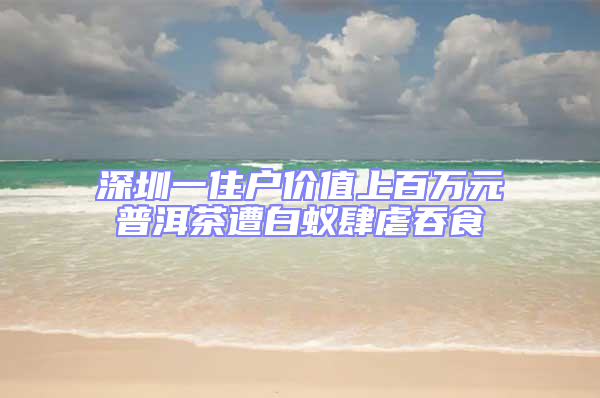 深圳一住戶價值上百萬元普洱茶遭白蟻肆虐吞食