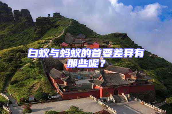 白蟻與螞蟻的首要差異有那些呢?