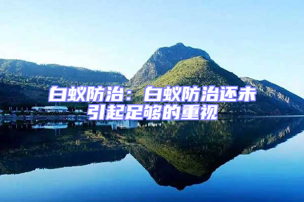 白蟻防治:白蟻防治還未引起足夠的重視