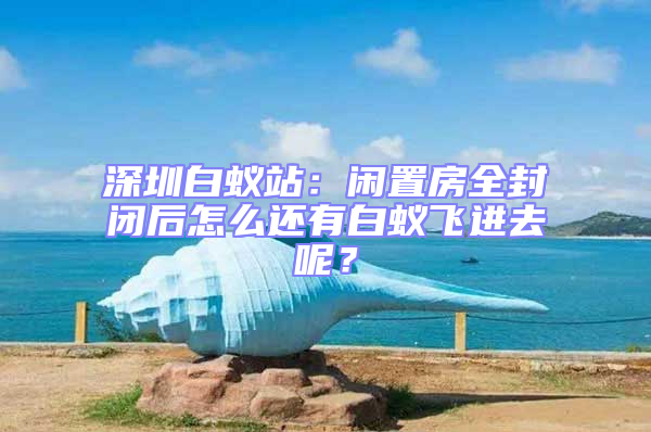 深圳白蟻站:閑置房全封閉后怎么還有白蟻飛進(jìn)去呢?