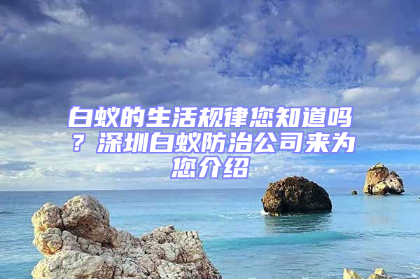 白蟻的生活規律您知道嗎？深圳白蟻防治公司來為您介紹