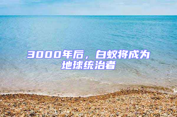 3000年后,白蟻將成為地球統(tǒng)治者
