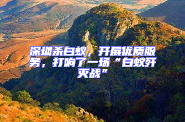 深圳殺白蟻,開展優質服務,打響了一場“白蟻殲滅戰”