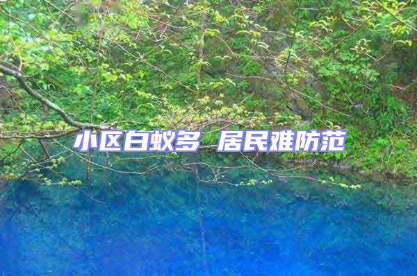 小區白蟻多 居民難防范