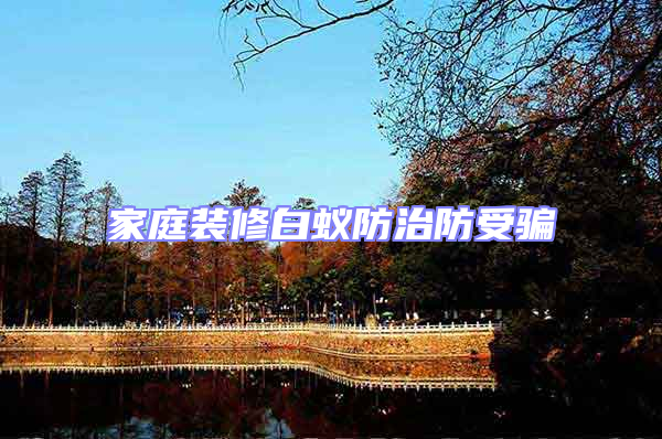 家庭裝修白蟻防治防受騙