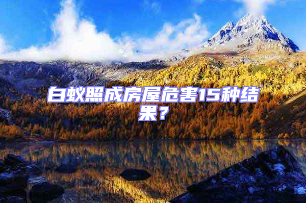 白蟻照成房屋危害15種結果？