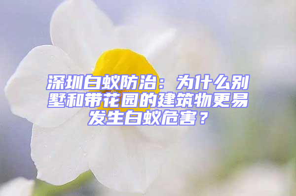 深圳白蟻防治：為什么別墅和帶花園的建筑物更易發生白蟻危害？