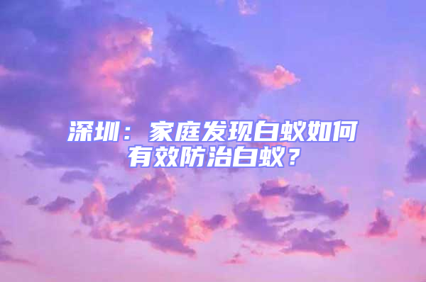 深圳:家庭發現白蟻如何有效防治白蟻?