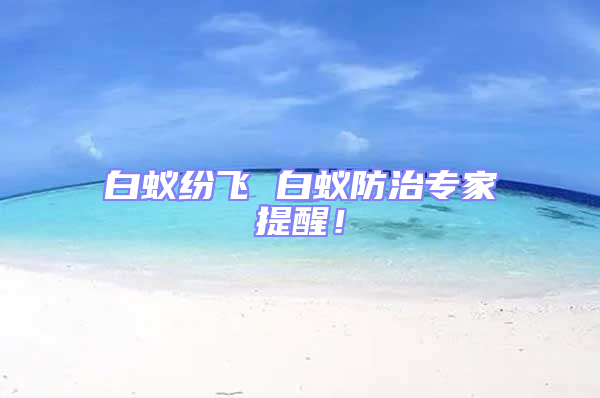 白蟻紛飛 白蟻防治專家提醒!