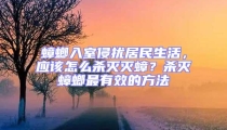 蟑螂入室侵擾居民生活，應該怎么殺滅滅蟑？殺滅蟑螂最有效的方法