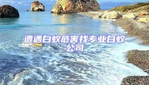 遭遇白蟻危害找專業(yè)白蟻公司