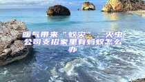 暖氣帶來“蟻災”，滅蟲公司支招家里有螞蟻怎么辦