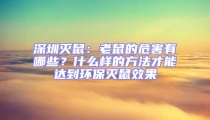 深圳滅鼠：老鼠的危害有哪些？什么樣的方法才能達到環保滅鼠效果