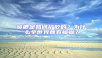 蟑螂是如何擴散的？為什么全世界都有蟑螂？