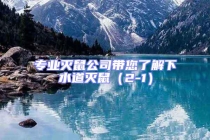 專業滅鼠公司帶您了解下水道滅鼠（2-1）