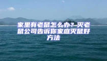 家里有老鼠怎么辦？滅老鼠公司告訴你家庭滅鼠好方法