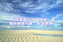 【滅老鼠公司】驚險！老鼠咬斷燃?xì)夤?，險出意外！