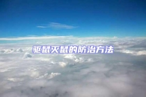 驅(qū)鼠滅鼠的防治方法