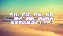 白蟻、老鼠、蒼蠅、蟑螂、蚊子、螞蟻、跳蚤等有害生物綜合治理（IPM）