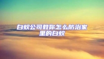 白蟻公司教你怎么防治家里的白蟻