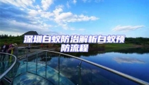 深圳白蟻防治解析白蟻預防流程