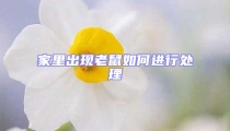 家里出現老鼠如何進行處理