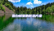 散白蟻型的防治方案