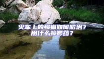火車上的蟑螂如何防治？用什么蟑螂藥？