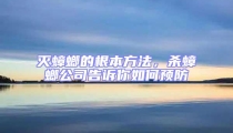 滅蟑螂的根本方法，殺蟑螂公司告訴你如何預防