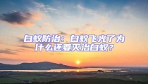 白蟻防治：白蟻飛光了為什么還要滅治白蟻？