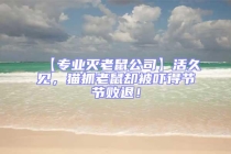 【專業滅老鼠公司】活久見，貓抓老鼠卻被嚇得節節敗退！