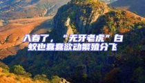 入春了，“無牙老虎”白蟻也蠢蠢欲動繁殖分飛