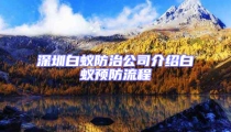 深圳白蟻防治公司介紹白蟻預(yù)防流程