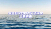 殺蟲(chóng)公司教你如何消滅家里的螨蟲(chóng)