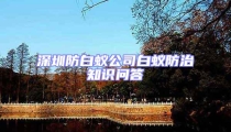 深圳防白蟻公司白蟻防治知識問答