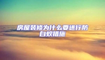 房屋裝修為什么要進行防白蟻措施