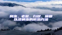 臭蟲(chóng)、老鼠、白蟻、蟑螂以及螨蟲(chóng)的防治方法