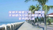 深圳滅蟑螂公司，如何消滅蟑螂以及防止蟑螂進(jìn)入室內(nèi)的方法