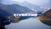 KTV如何滅蟑螂