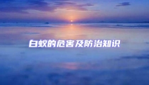 白蟻的危害及防治知識