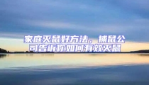 家庭滅鼠好方法，捕鼠公司告訴你如何有效滅鼠